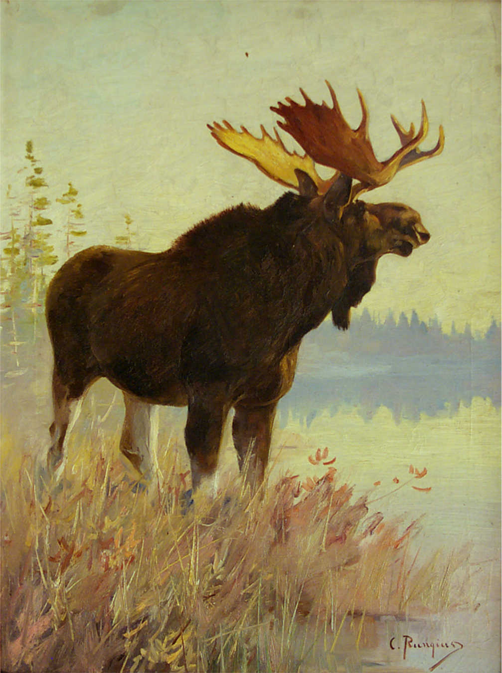 Carl Rungius (American, b. Germany, 1869&ndash;1959), Sportsmen's Moose, 1907. Oil on canvas. 28 x 21 inches. Purchased with Funds Generously Donated by the Robert S. and Grayce B. Kerr Foundation, National Museum of Wildlife Art. &copy; Estate of Carl Rungius.